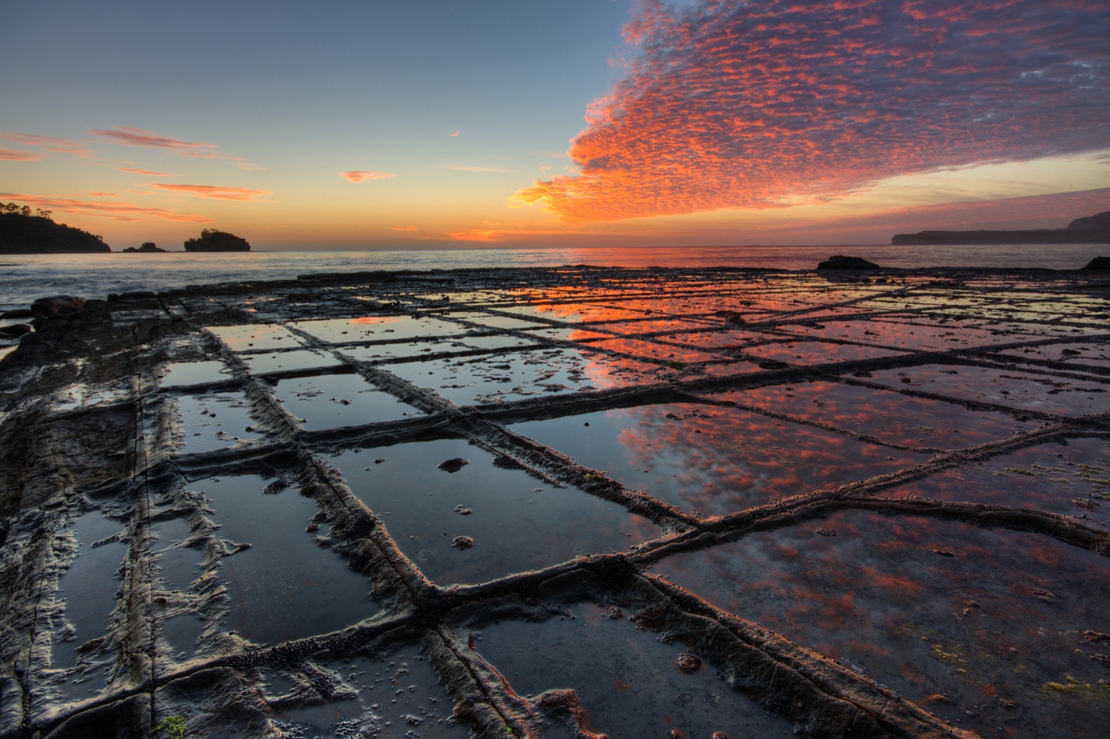 The tessellated pavement at Eaglehawk Neck, Tasmania, where joint-controlled erosion has produced a tiled pattern in Permian-Triassic siltstone