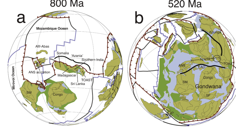 Two globes showing the amalgamation of the Arabian-Nubian Shield, Azania and the TOAST terrane into Gondwana at 800 Ma and 520 Ma